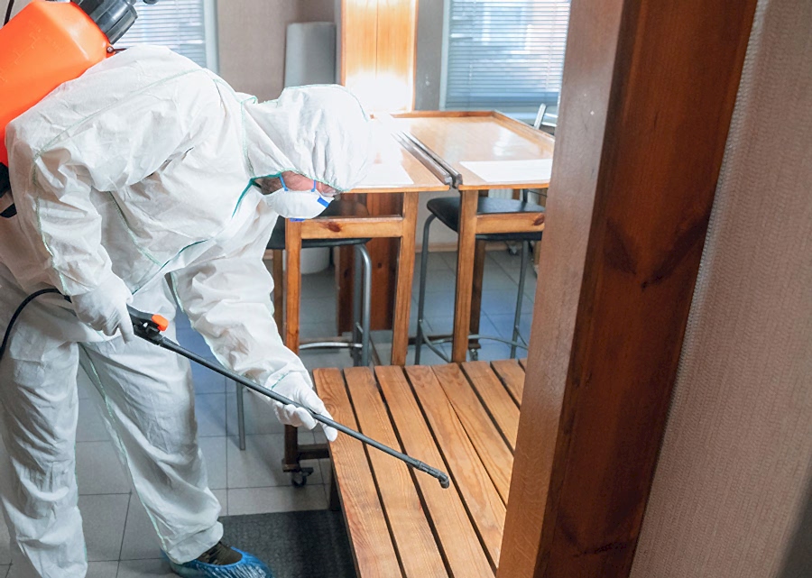 Hassas Alanlarda Böcek İlaçlama